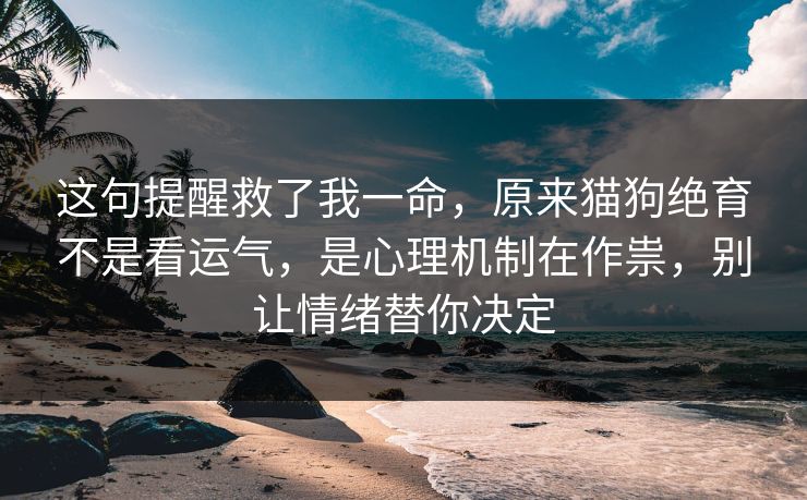 这句提醒救了我一命，原来猫狗绝育不是看运气，是心理机制在作祟，别让情绪替你决定